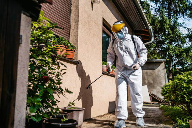 Reliable Kalaheo, HI Pest Control Solutions
