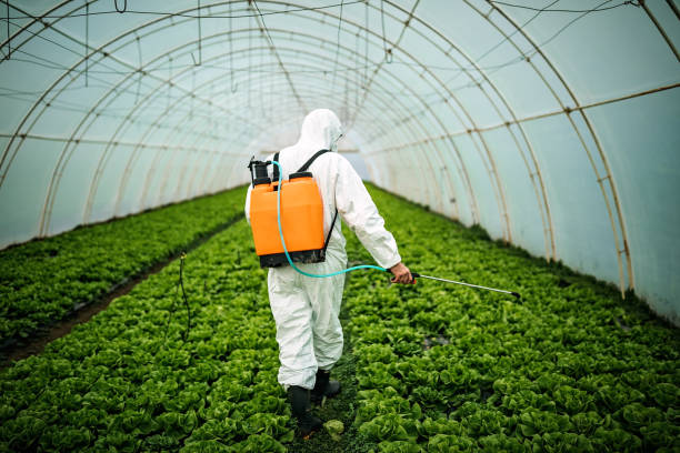 Best Commercial Pest Control Services  in Kalaheo, HI