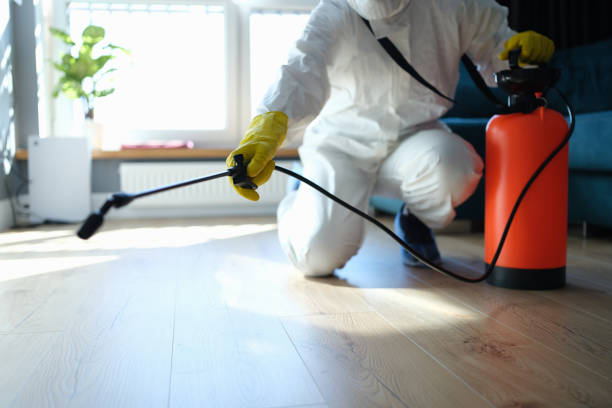 Best Pest Removal Services  in Kalaheo, HI